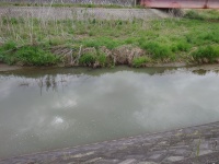 産川 神畑橋~中村橋付近の急カーブ