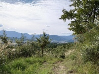 東山遊歩道から見下ろす風景