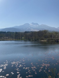 日本百名山の妙高山が逆さに！いもり池
