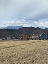 稲刈り直後の田んぼ