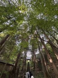 安楽寺前の階段