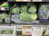 長野のキャベツ