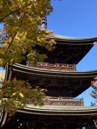 信濃国分寺三重塔