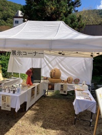 地域社会と伝統工芸の関係：地域の支援と活動