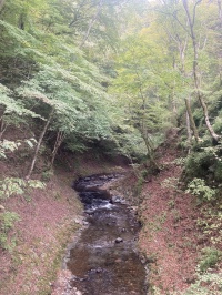鹿教湯温泉から見える景色