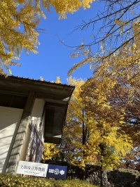 上田で過ごす初めての秋