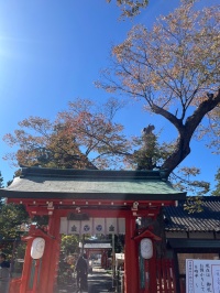 生島足島神社で見た自然のつながり