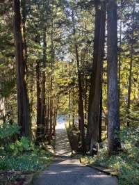 安楽寺の自然に囲まれて