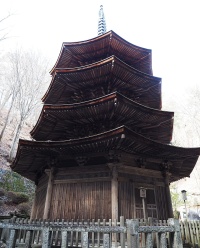 自然と文化を楽しむエコツアー