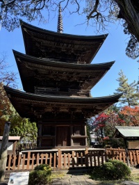 信濃国分寺三重塔 信濃国分寺三重塔