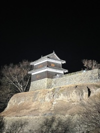 夜の上田城跡公園