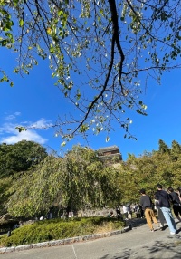 上田城跡公園の四季