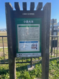 小島大池