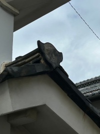 蚕室造り　特徴的な瓦①