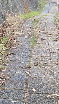 常楽寺・安楽寺への旅路にて（その１）