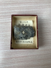 No.29(A-1-2)石黒片岩