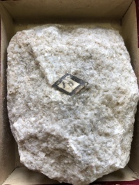 No.10 (F-3-2)糖晶質石灰岩（太古大統）