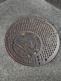 マンホールinマンホール