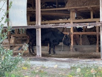 「えっ⁉︎」と声が出た