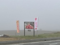 標高1,000m以上でいちご狩り⁈