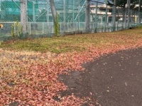 学校グランド③