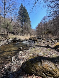 北山の映えスポット