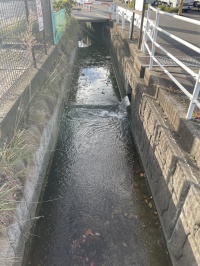 さかい東公園と水路