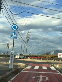 ぶどう畑の中のラウンドアバウト