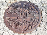 足元を彩る花々