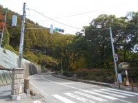 村で唯一の信号機