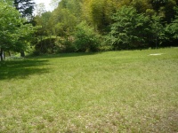 何にもないのが魅力です