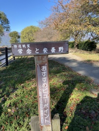 ビューポイント