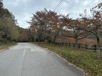 ダムを目指してひたすら進むと