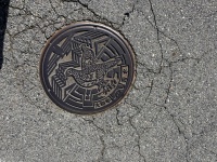 雷鳥のマンホール