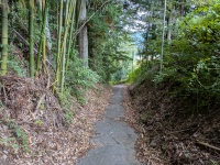 アリ坂？荒井坂？阿礼坂？