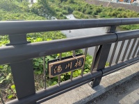 湯川河川敷のアレチウリ