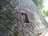 なぜこの位置に？