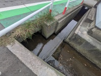 お散歩定番スポット