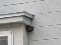 最近一番気になっていること