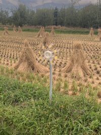 よく見るペットボトル