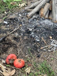 儀...式.........？