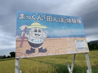 まっくん「田んぼ」体験隊
